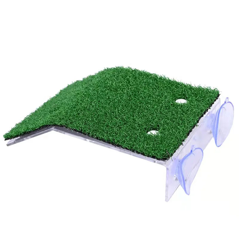 Floating Reptile Platform