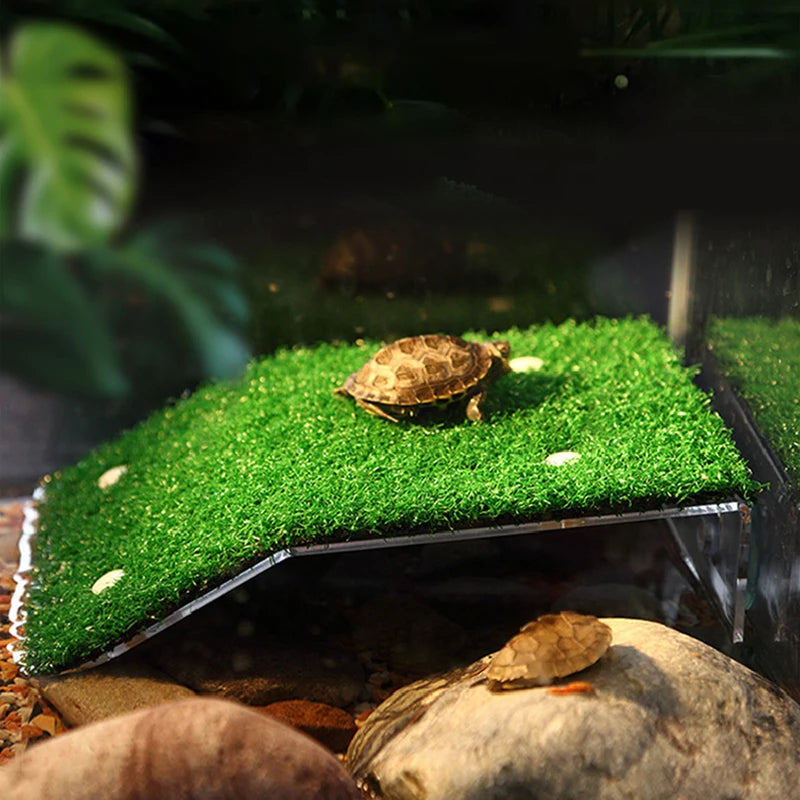 Floating Reptile Platform